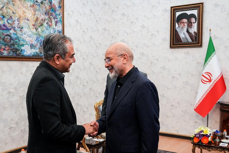 Iranian Parliament Speaker Mohammad Bagher Ghalibaf meets with Pakistan's Interior Minister Mohsin Naqvi, in Tehran