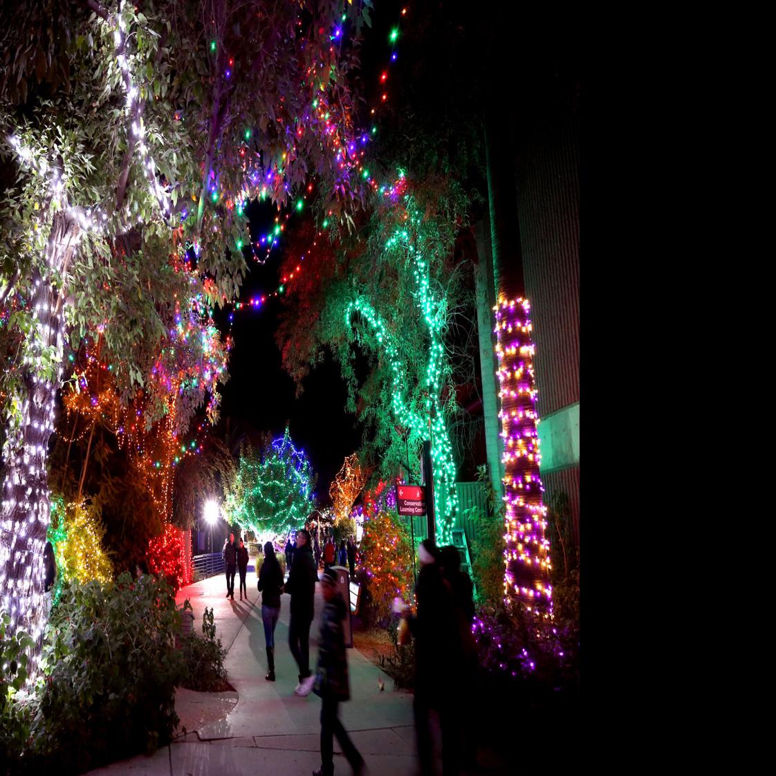 Tohono Chul Christmas Lights 2022 28 Tucson Holiday Festivals, Events And Markets To Check Out This Season |  Tucsón | Tucson.com