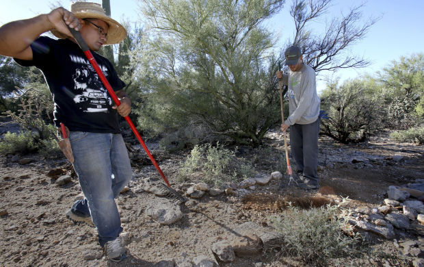 Sustainable landscaping