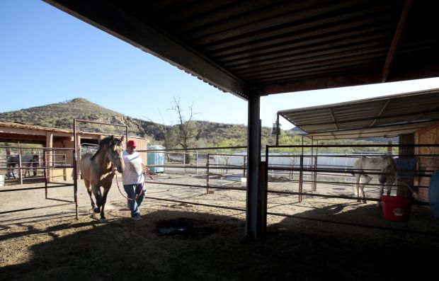 Where we live: Menlo Park | Tucson Gardens | tucson.com