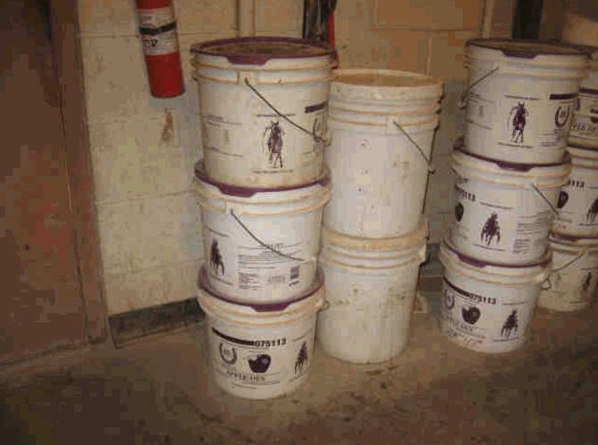 Tucson Greyhound Park