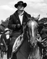 Photos: 'Maverick,' 'Rockford' star James Garner dies