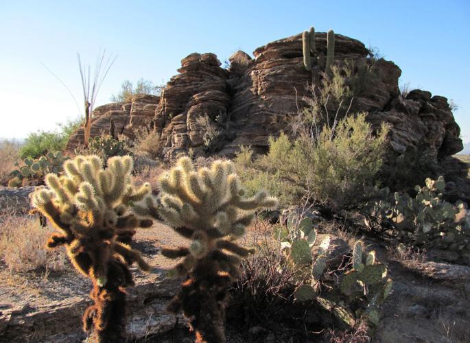 Top trails: Tanque Verde Ridge Trail