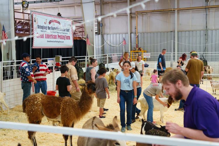 Why there’s no petting zoo this year at the Arizona State Fair