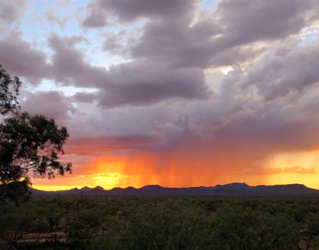 Monsoon photo contest