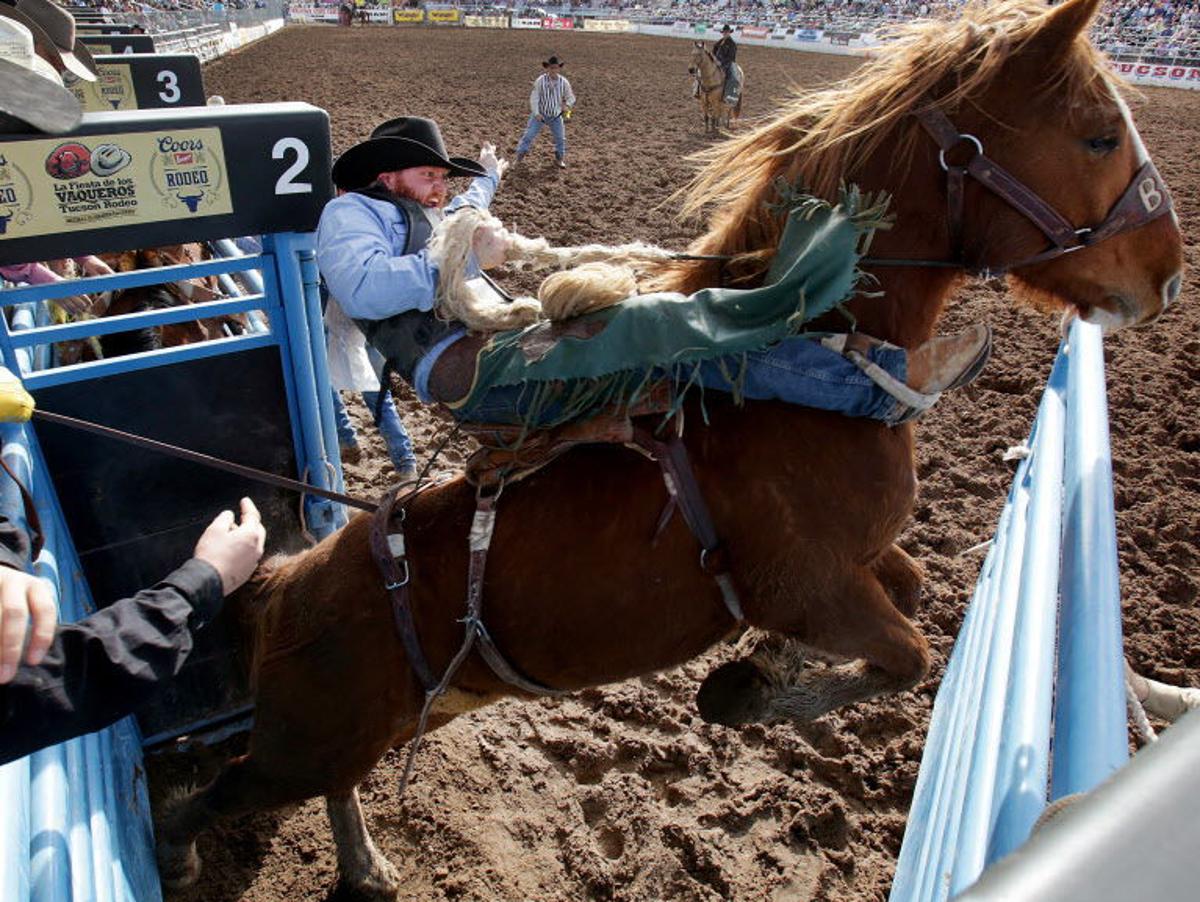 Pickup Man Right At Home At La Fiesta De Los Vaqueros Tucson Sports Tucson Com