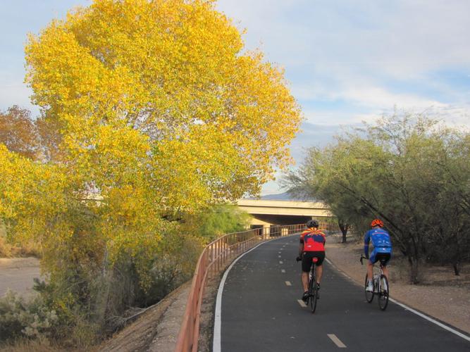Cyclists and autumn splendor