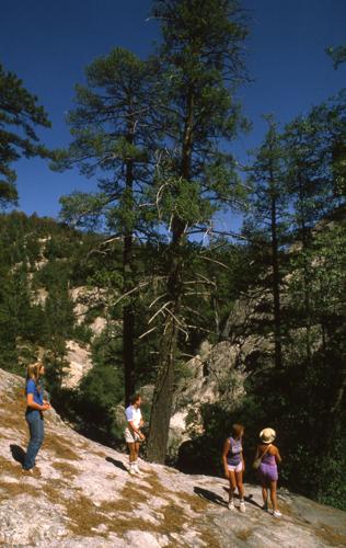 Marshall Gulch Trail
