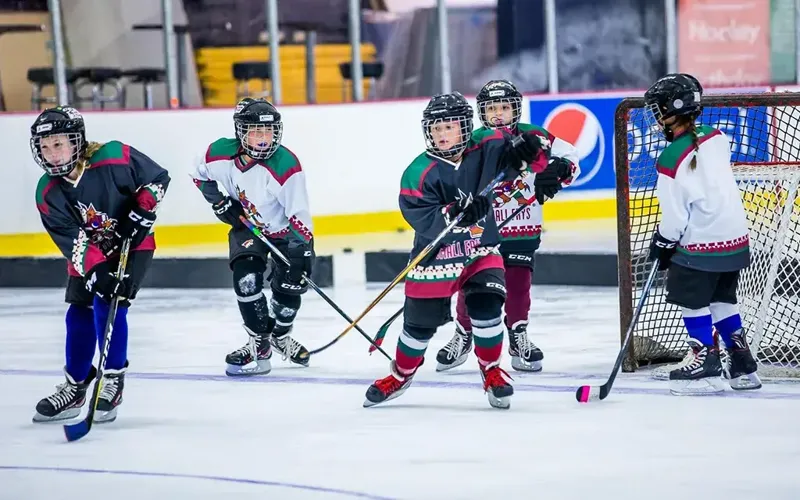Youth hockey