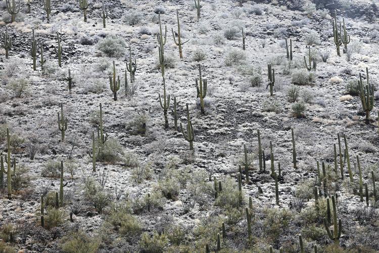 Nieve en Tucsón
