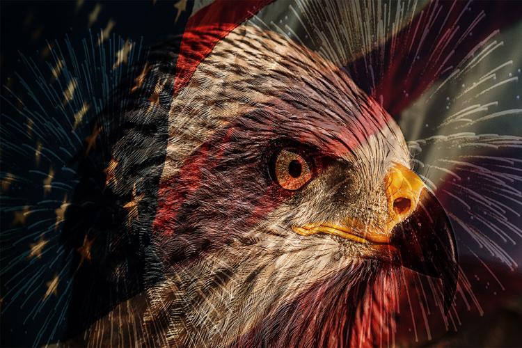Independence-by-Jay-Clary.jpg