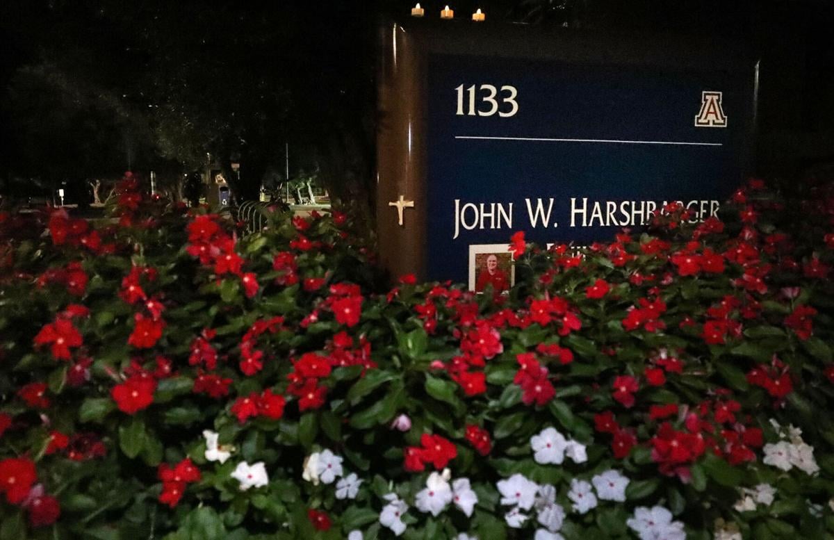 UA honors Thomas Meixner