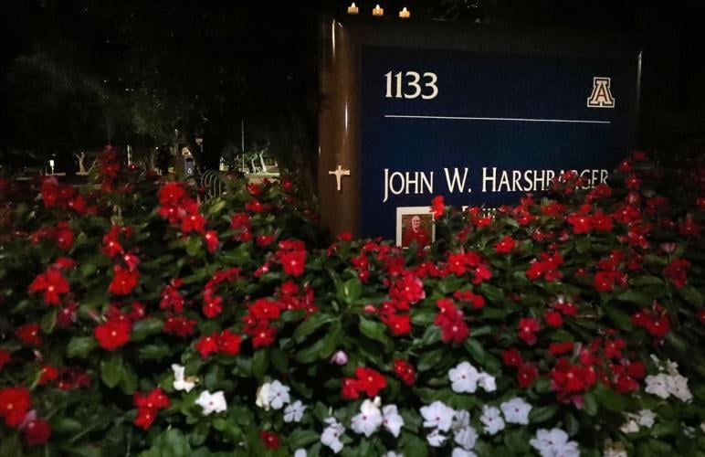 UA honors Thomas Meixner