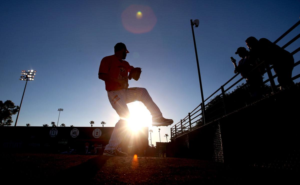 Mexican Baseball Fiesta