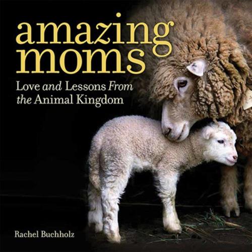 We recommend