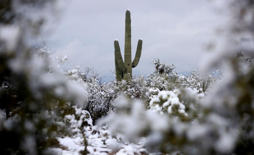 Snow in Southern Arizona (copy)