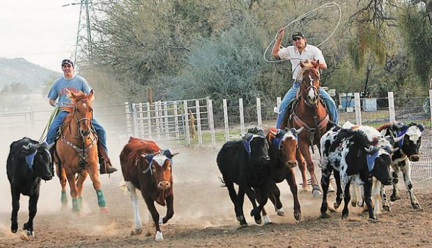 UA Rodeo Club has new arena for practice  