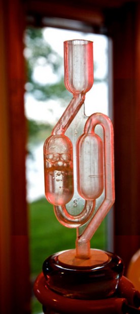Homemade wine: Fruit of their labors  