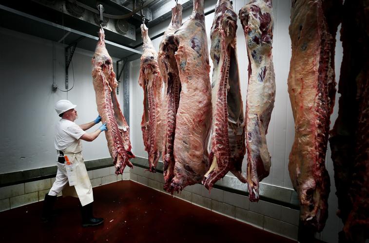 University of Arizona Food Product and Safety Lab