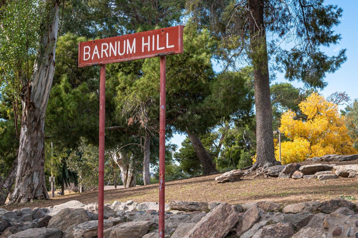 Street Smarts: Willis Barnum Lane and Barnum Hill