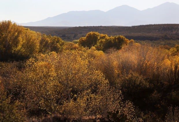 Southeast Arizona Loop Trip