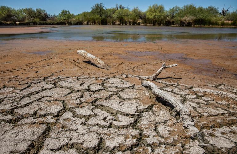 Quitobaquito Springs, 2020