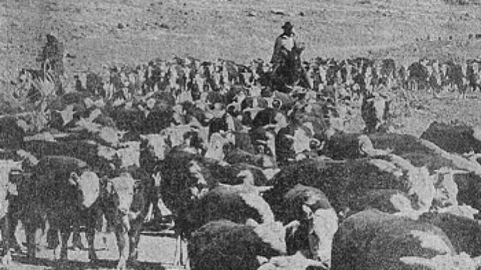 Oracle's Historic 3-C Ranch