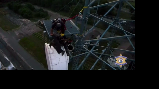 Bald eagle rescued in New Jersey after getting its wing stuck in a tower
