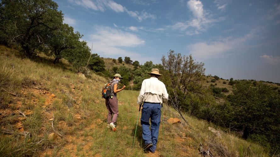 Wildlife cameras, Sky Island Alliance