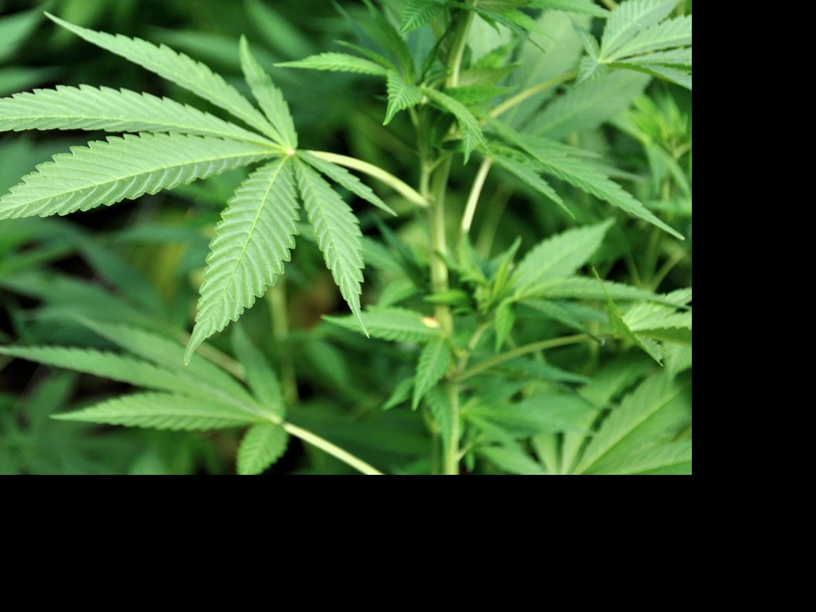 420 Events At San Diego Dispensaries 2022