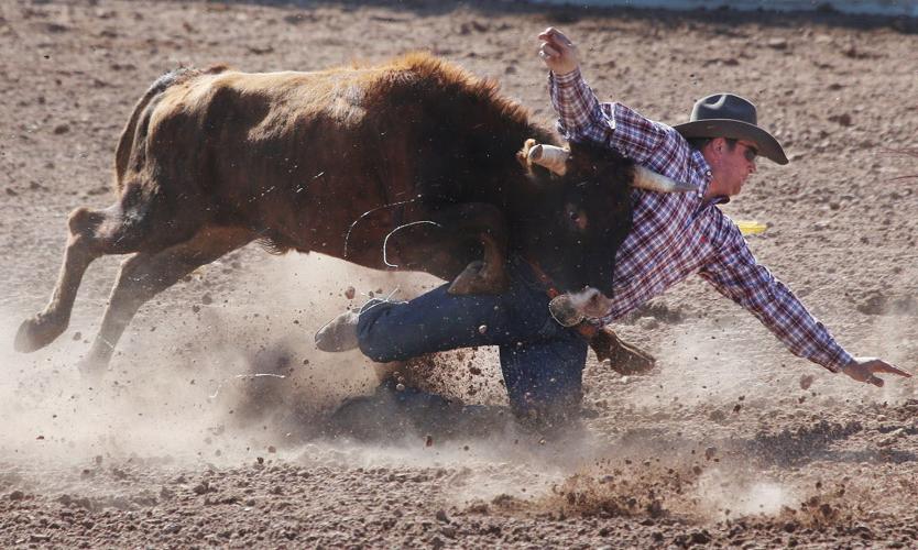 2016 Tucson Rodeo