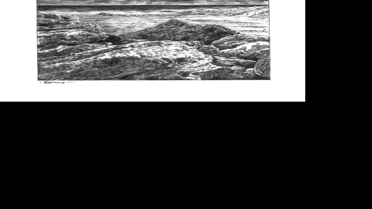 No Species Is An Island Explores Bats Cactus And Secrets - 