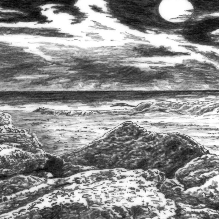 No Species Is An Island Explores Bats Cactus And Secrets - 