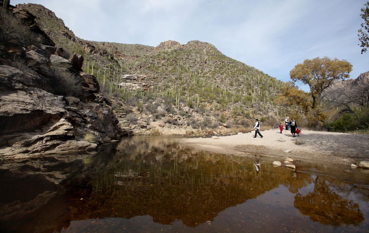 Sabino Canyon