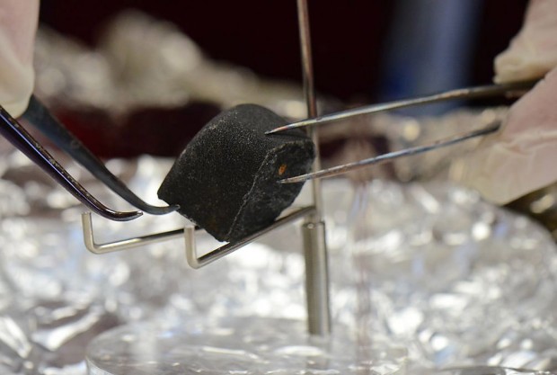 3 'fireball chasers' donate samples of 'fresh' space rock to planetary lab    