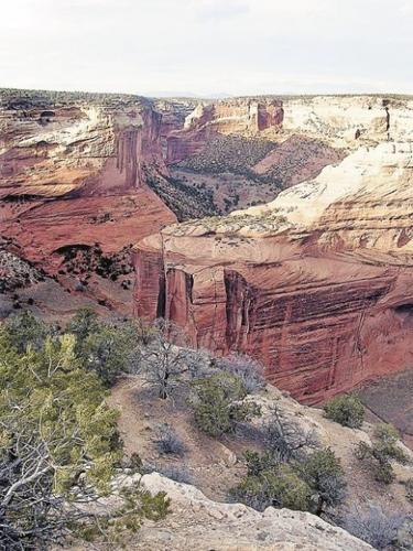 Majestic, spiritual and alive  