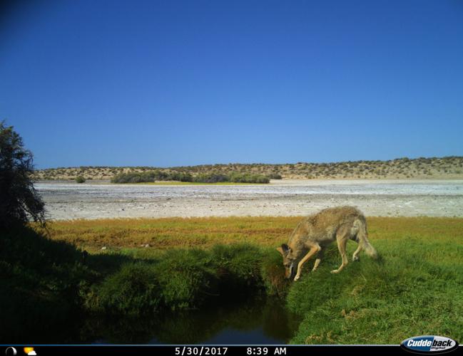 University of Arizona Science