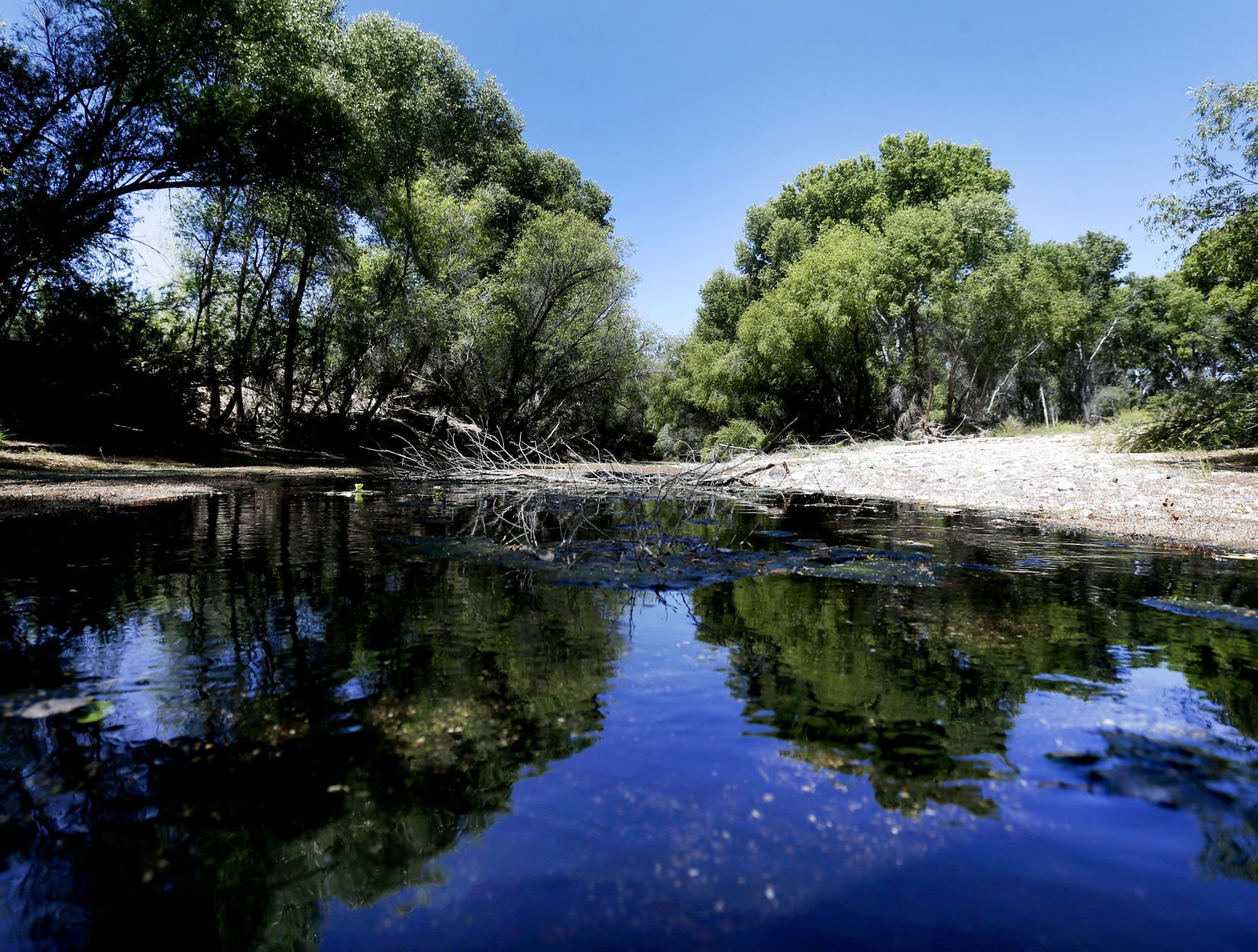 san pedro river        
        <figure class=