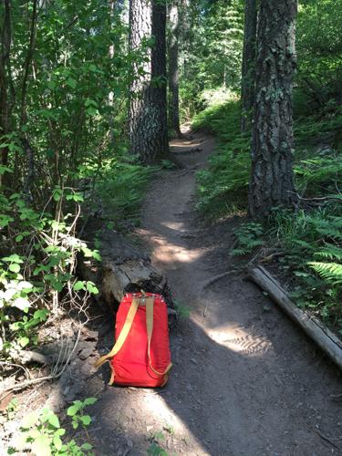 Along Aspen Draw Trail