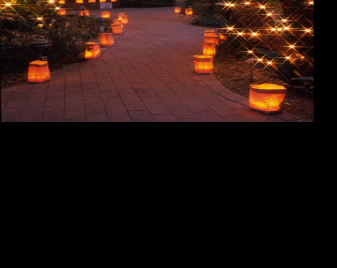 Luminaria Night