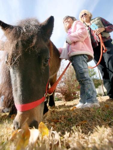 Kids forge bonds with animals  