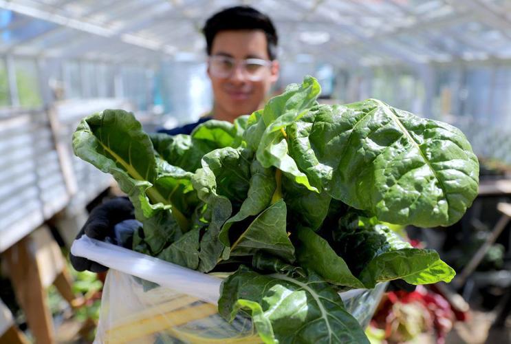 UA garden program student