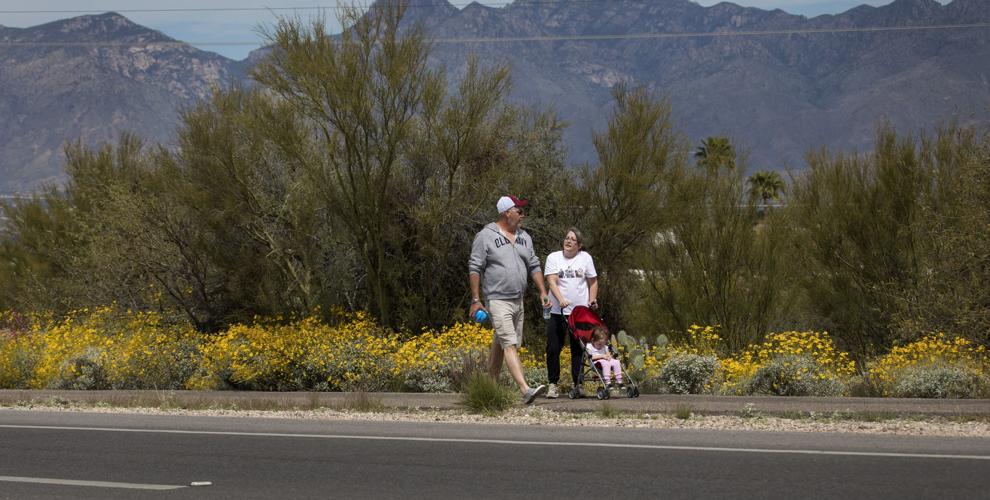 Wildflowers along Old Spanish Trail