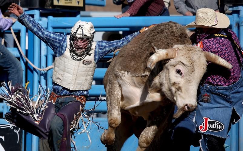 2018 La Fiesta de los Vaqueros Tucson Rodeo