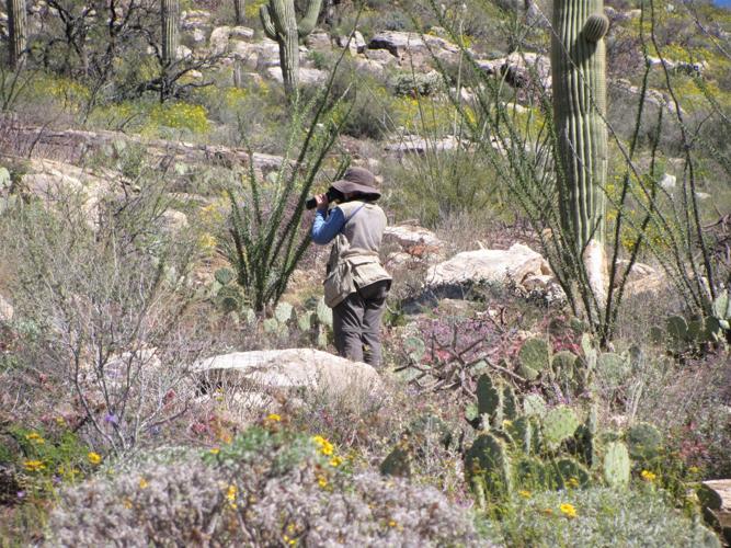 Photographing blooms