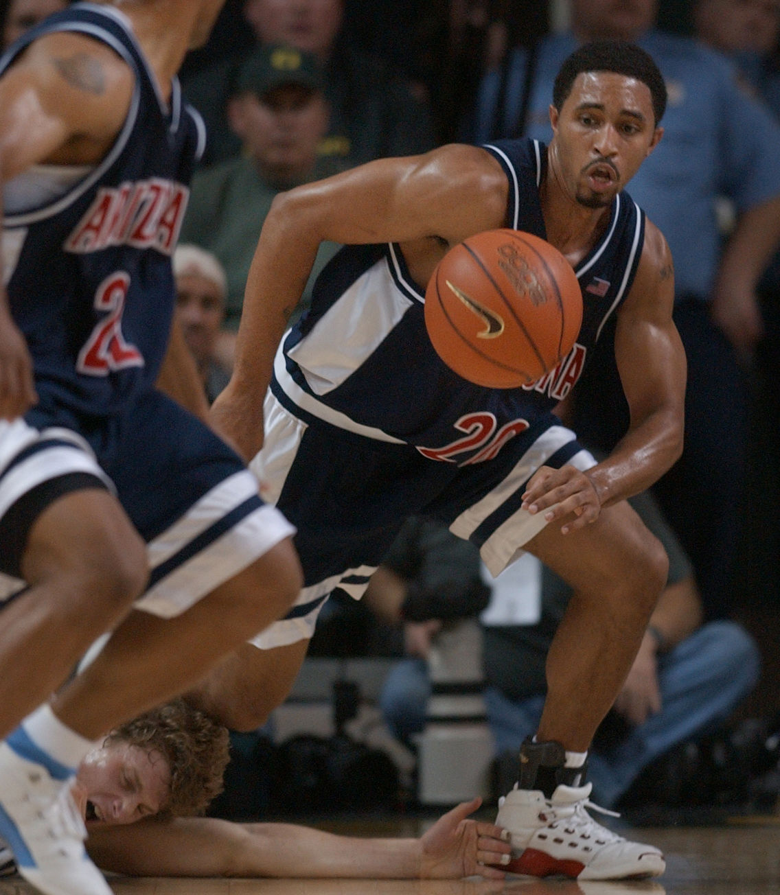Salim Stoudamire