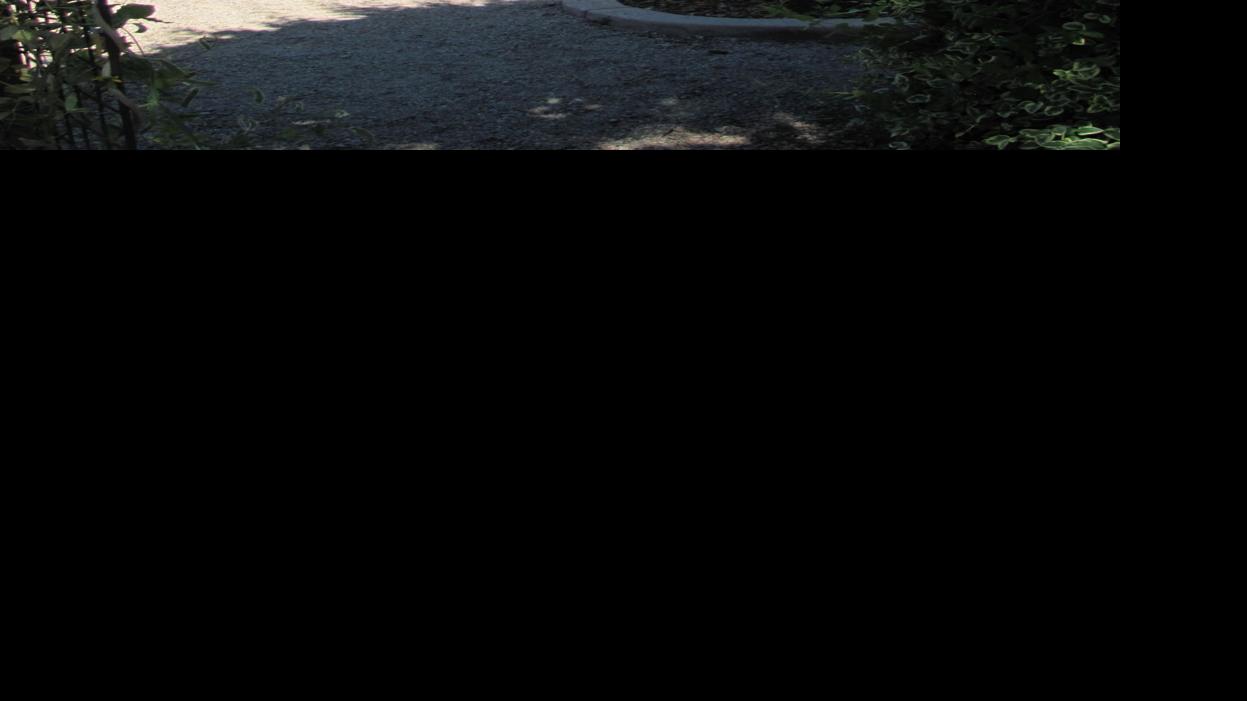 Tucson's hidden glorious gardens are open to all Local news