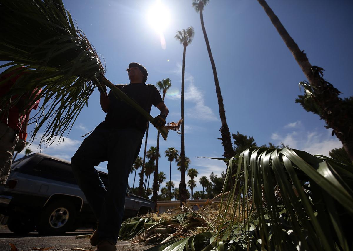 Tucson expected to hit first tripledigit temperatures of the year this