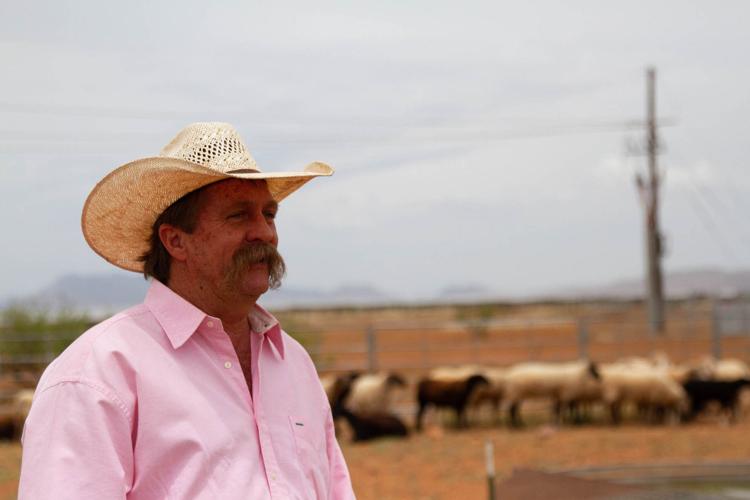 Livestock landscaping