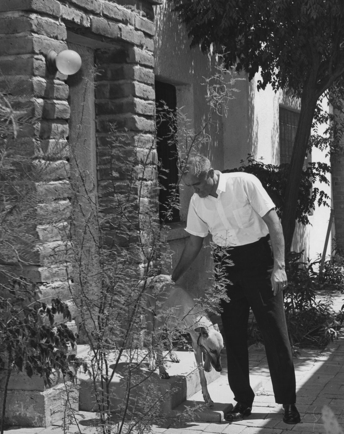 Bachelor homes in 1964